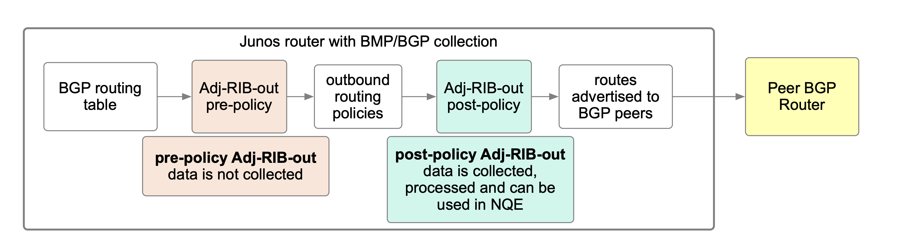 BMP and Adj-RIB-out