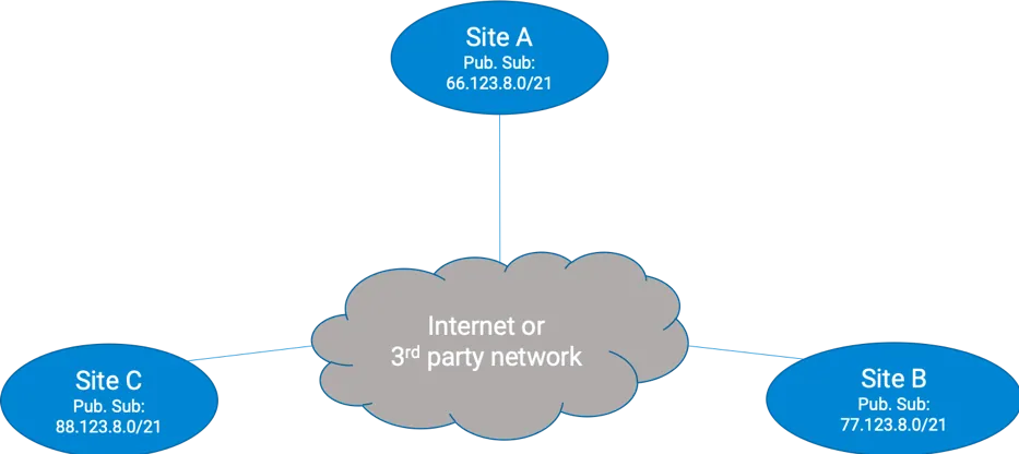 Topoly Internet node