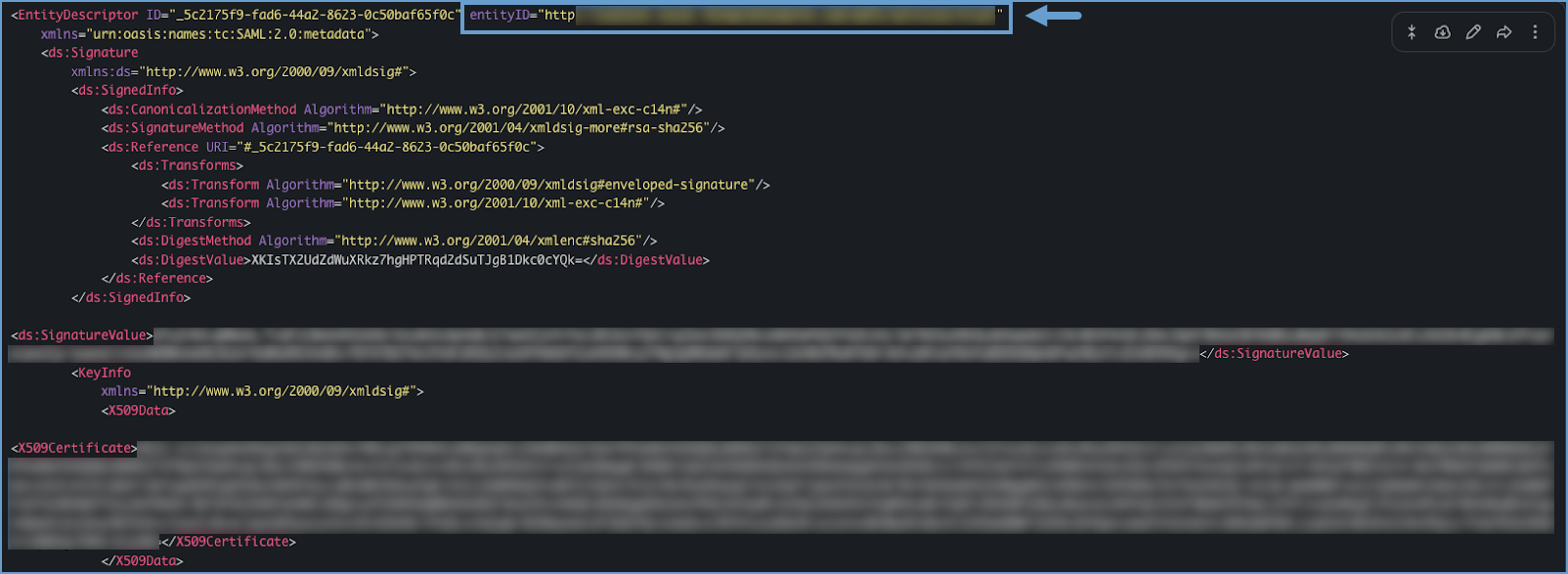 View of entity ID in XML