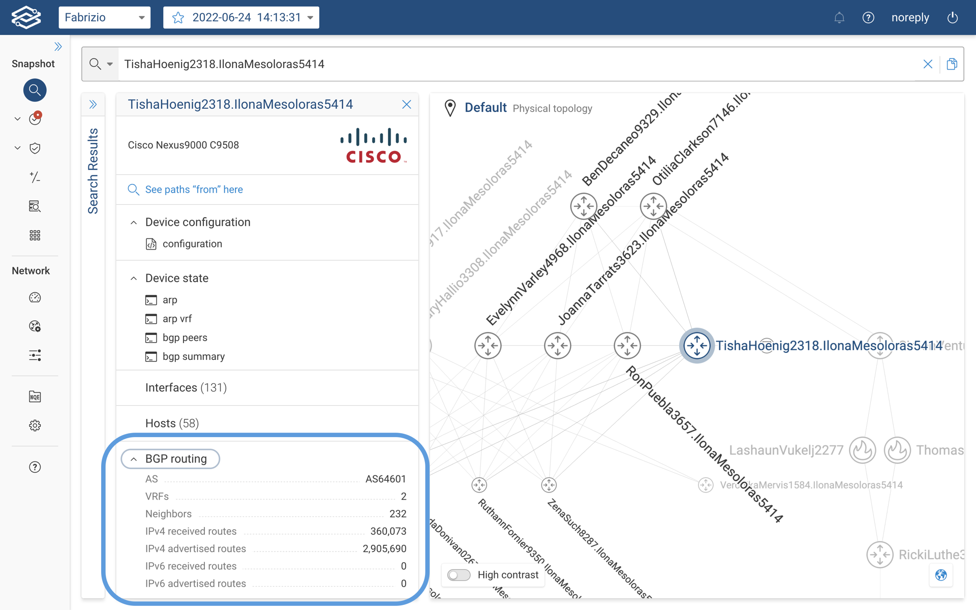 BGP device details card