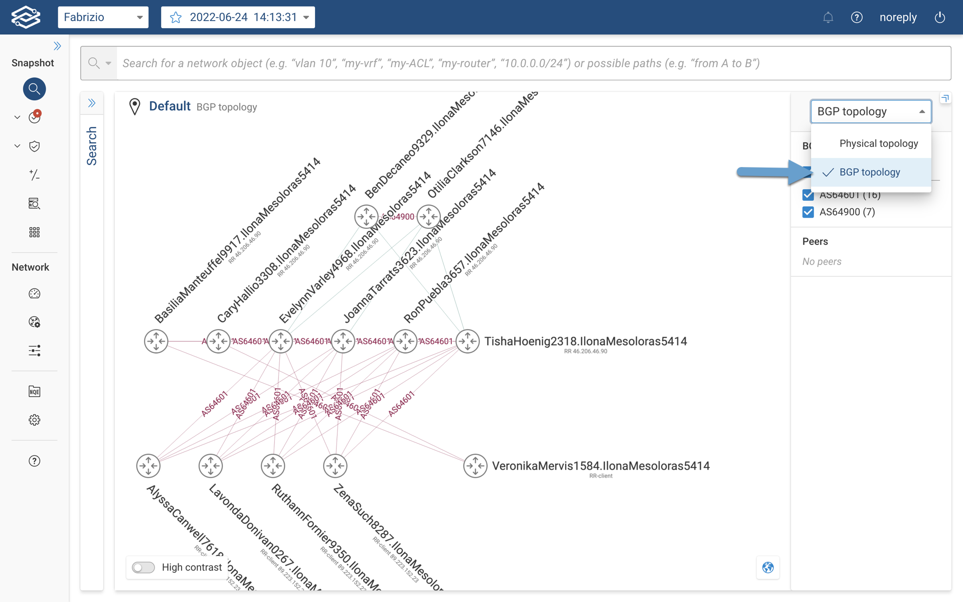 BGP topology view